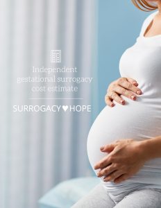 Independent Surrogacy Cost Estimate