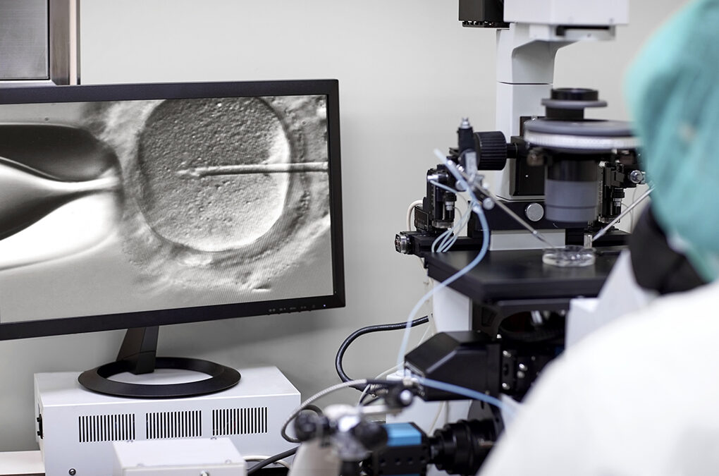 CGH embryo testing - screen showing researcher looking in a microscope fertilising an egg. Intracytoplasmic sperm injection.